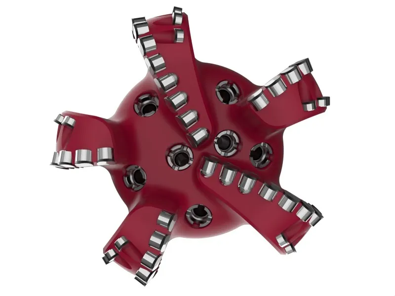 t19 (1)
